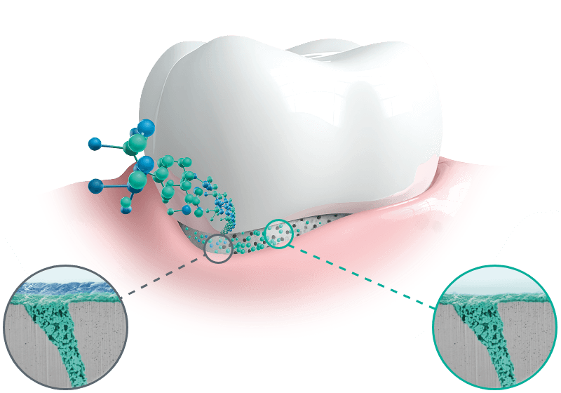 cum funcționează pasta de dinți elmex