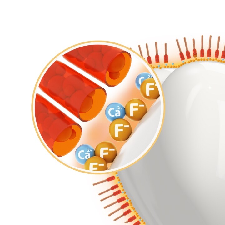 Korzyści stomatologiczne